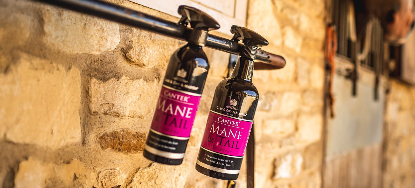 Het perfecte dream duo: Carr & Day & Martin Mane & Tail & Dream Coat
