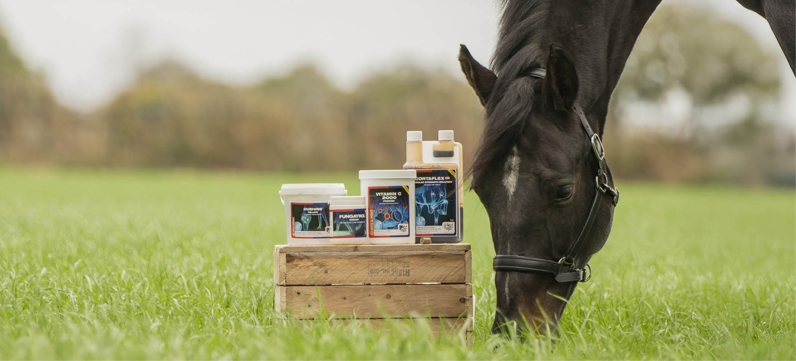 Klaar voor het nieuwe seizoen? De lente- en zomerproducten van Equine America