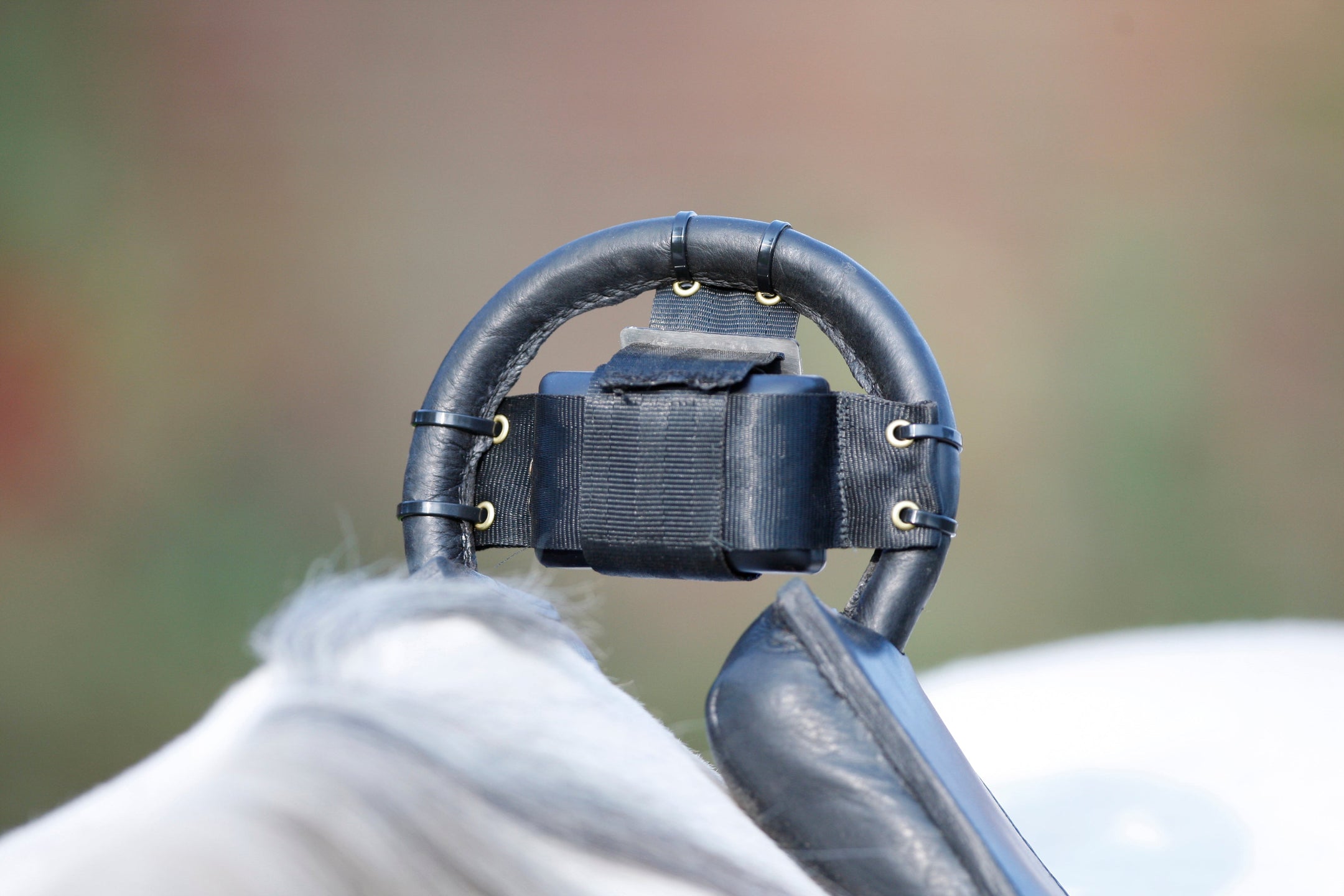 Birth Alarm: De slimme oplossing om de geboorte van je veulen nooit te missen.