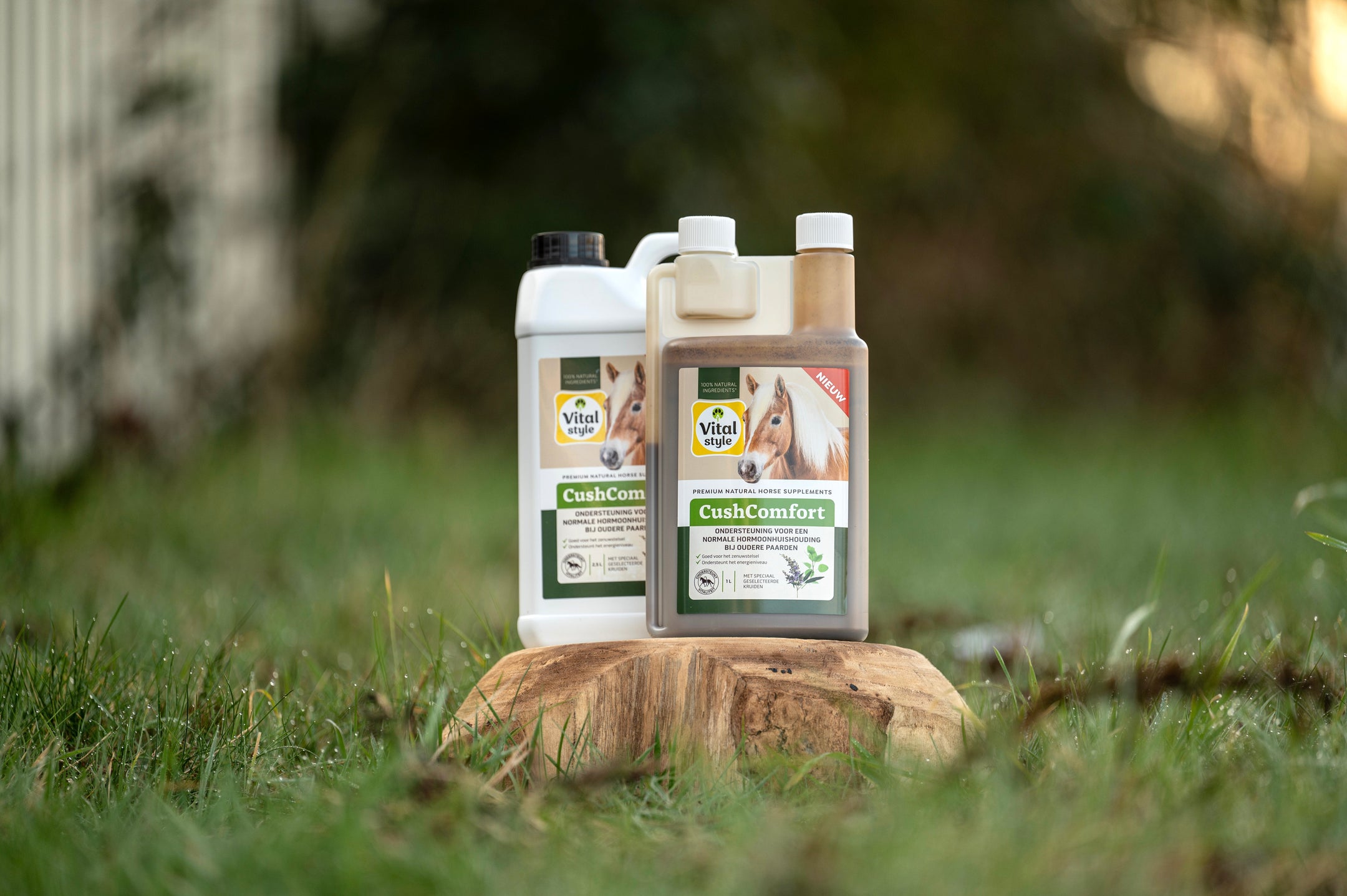 Vitaal oud worden ondanks de hormonale disbalans