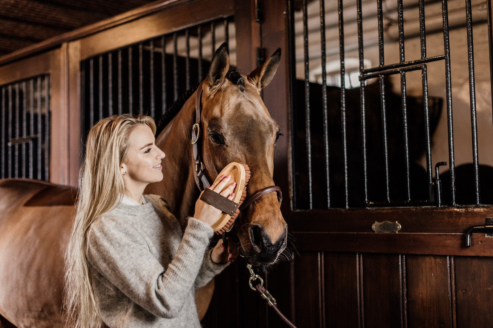 Grooming Deluxe: functioneel en elegant