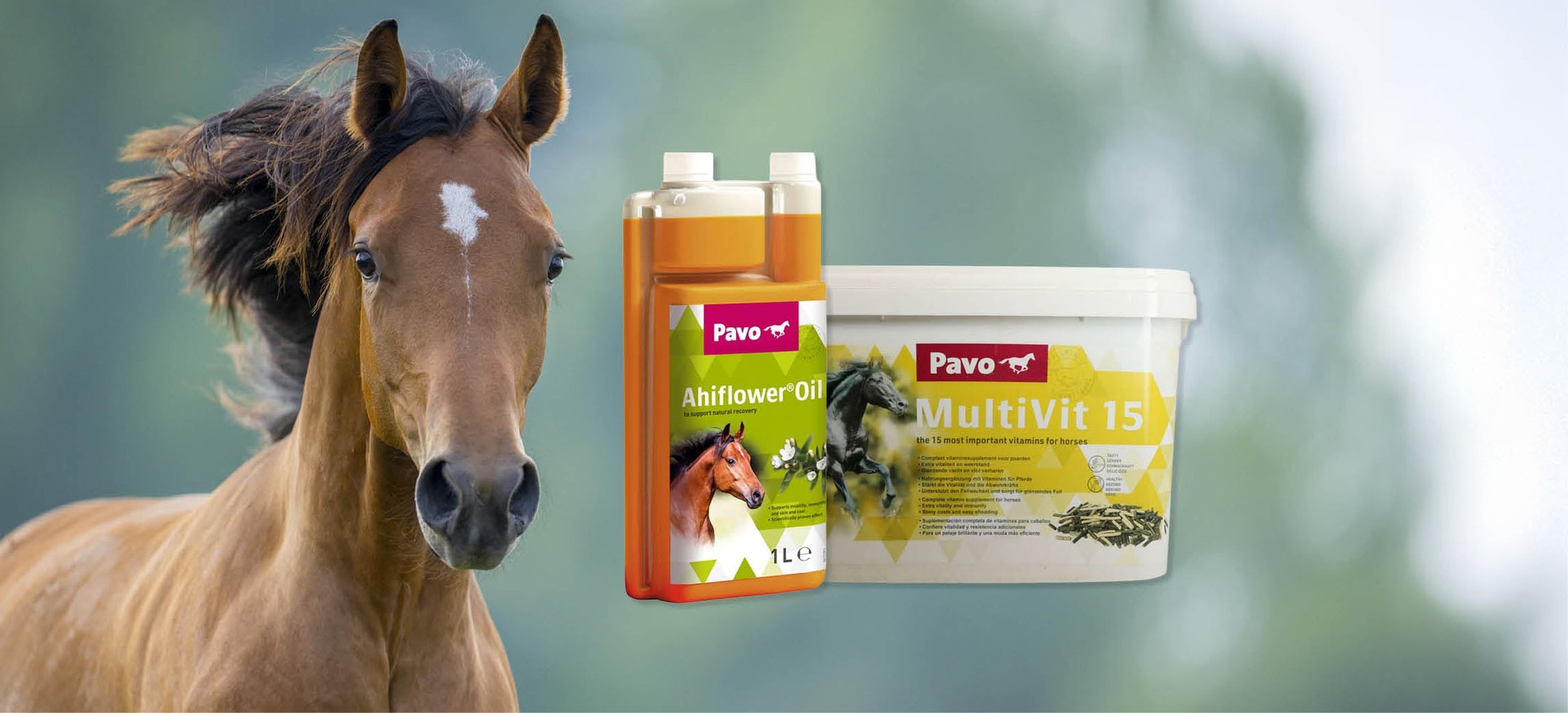 Geef je paard een steuntje in de rug tijdens de rui