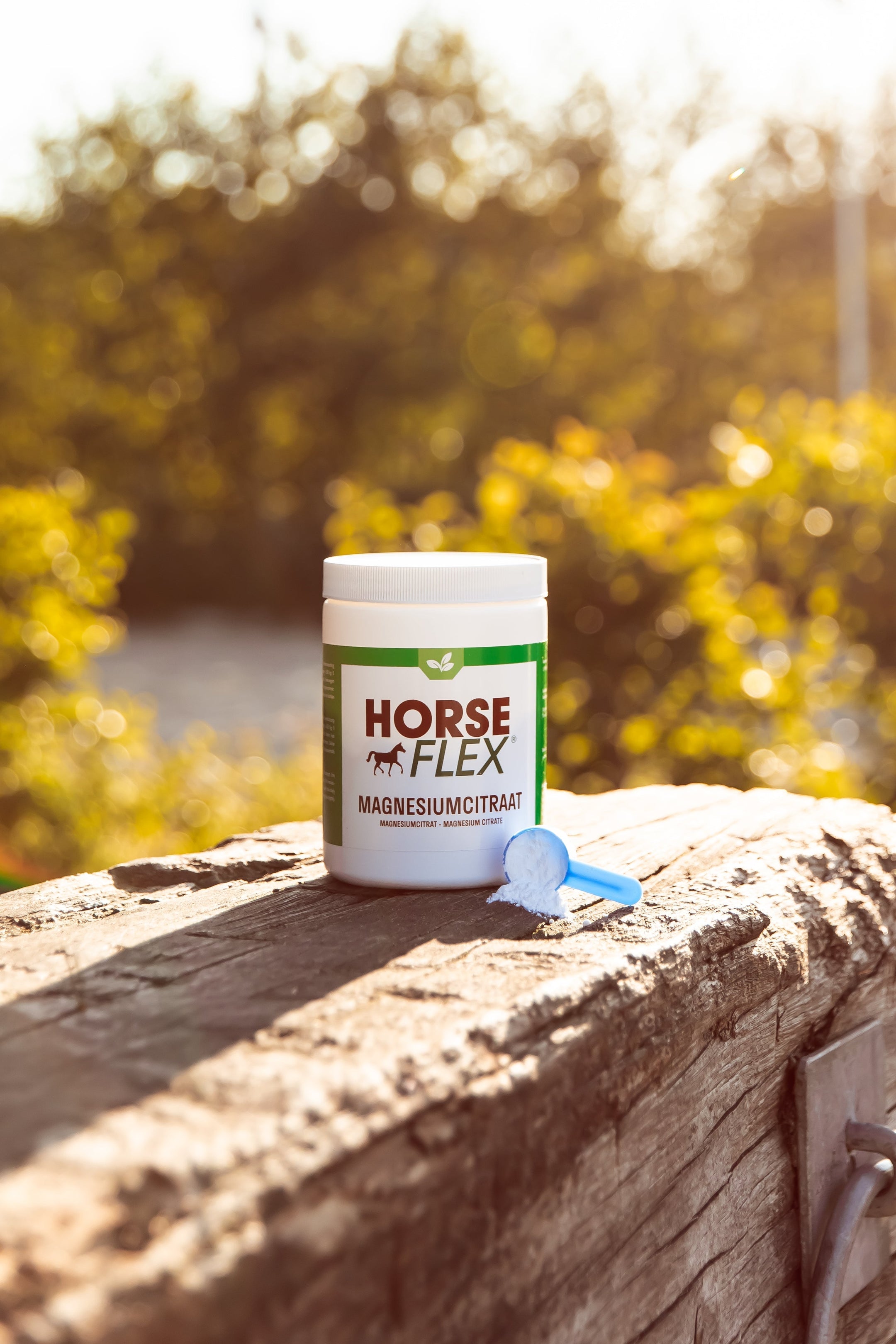 Het belang van magnesium voor je paard