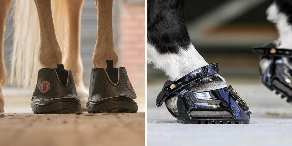 Alles wat je moet weten over hoefschoenen!