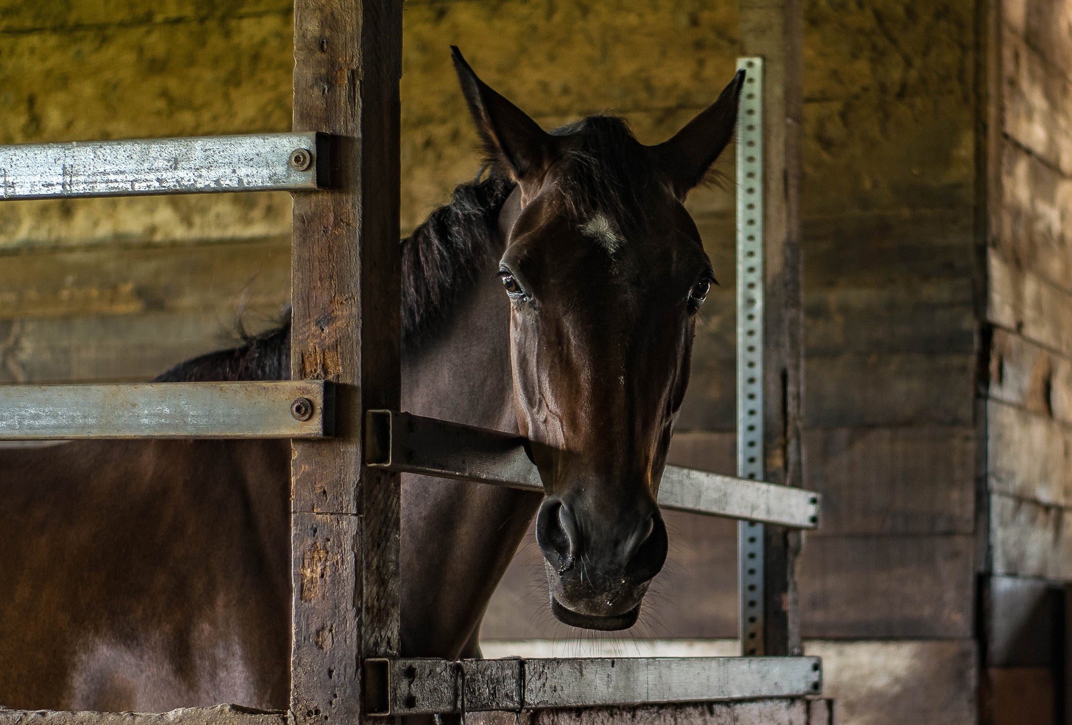Tips & Tricks voor een grote schoonmaak van jouw stal!