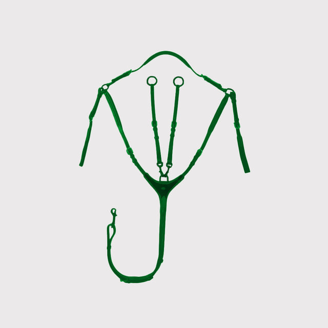 Teugels en Hulpteugels Teugels en Hulpteugels