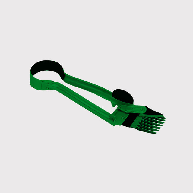 Schapen en Geiten Schapen en Geiten