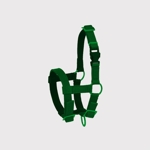 Veehalsters Veehalsters