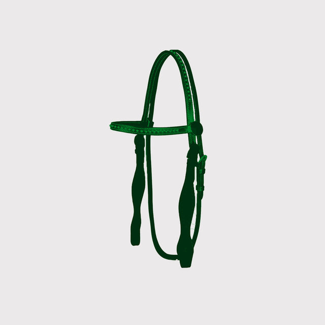 Western Paarden Western Paarden