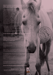 Horse and Hunk kalender 2026 Horse and Hunk kalender 2026