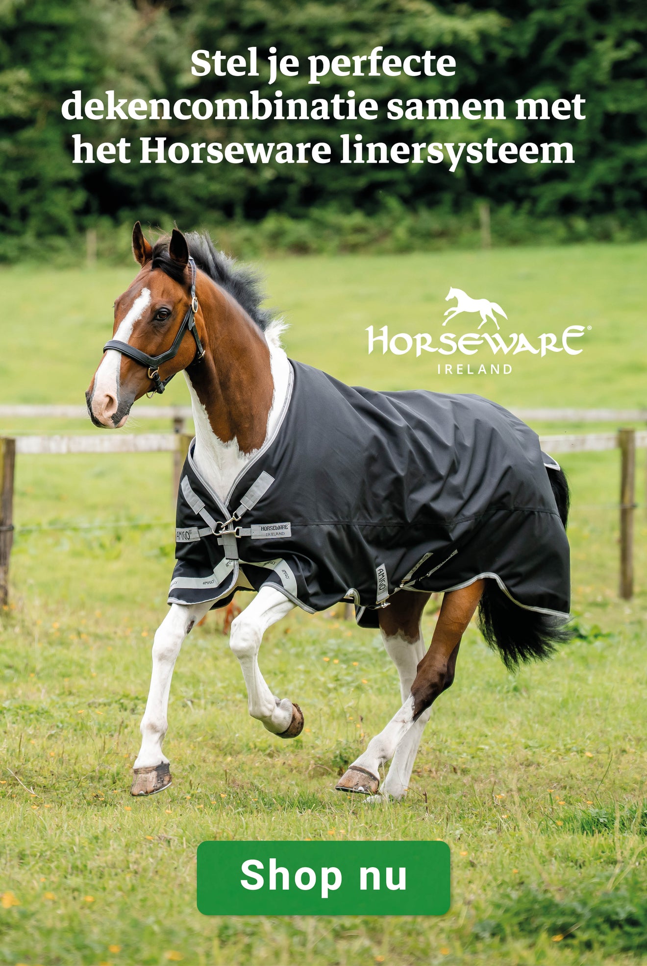 Amigo Turnout 1200D Plus 50g Amigo Turnout 1200D Plus 50g