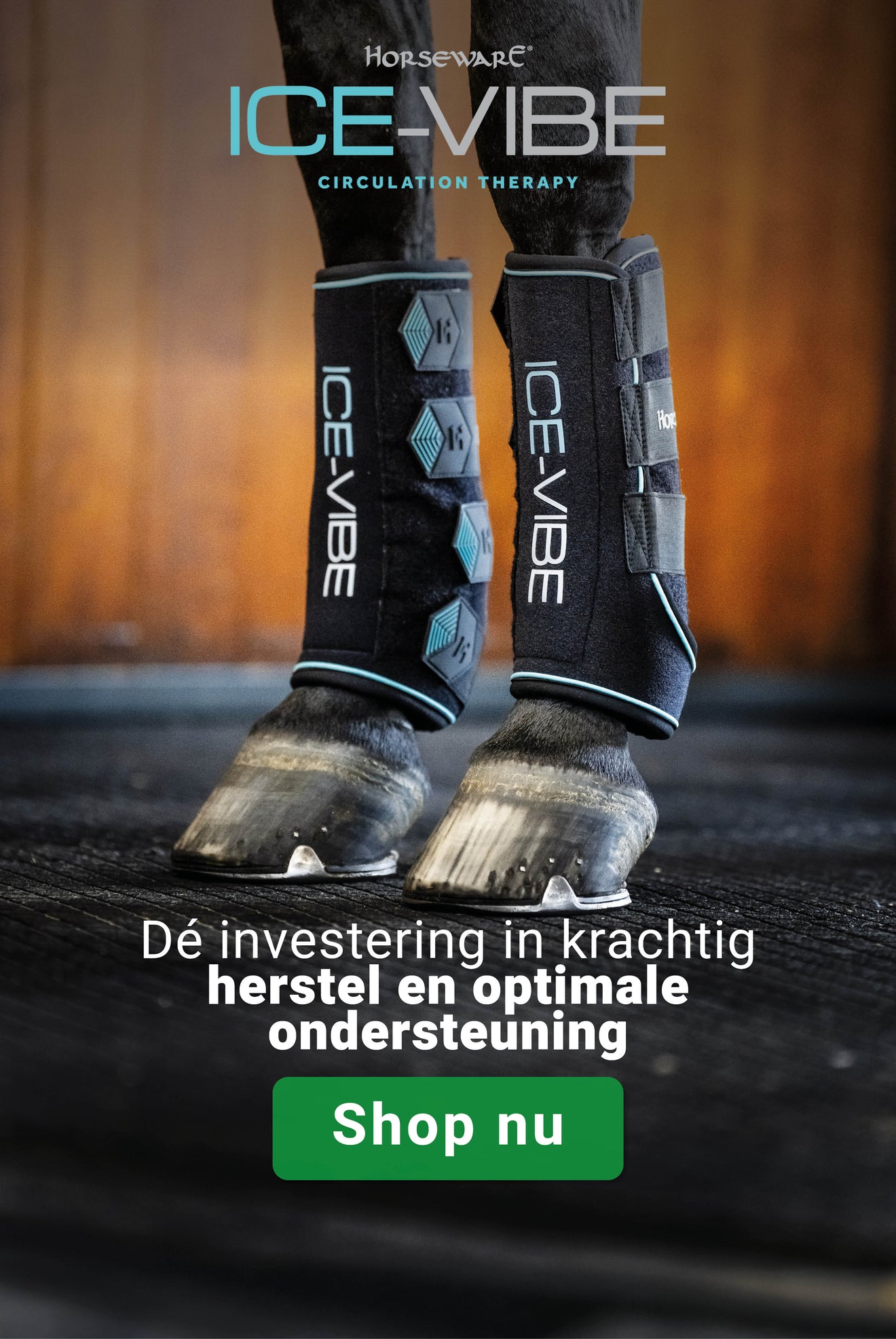 Horseware Ice Vibes Horseware Ice Vibes