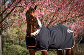 HB Showdeken Showtime Rose Gold Zwart HB Showdeken Showtime Rose Gold Zwart