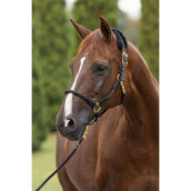 Covalliero Halster Anniversary Graphite Covalliero Halster Anniversary Graphite