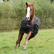 Bucas Irish Turnout Light 50g Black/Gold Bucas Irish Turnout Light 50g Black/Gold