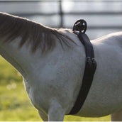 Birth Alarm Anti-Rolsingel Compleet Birth Alarm Anti-Rolsingel Compleet