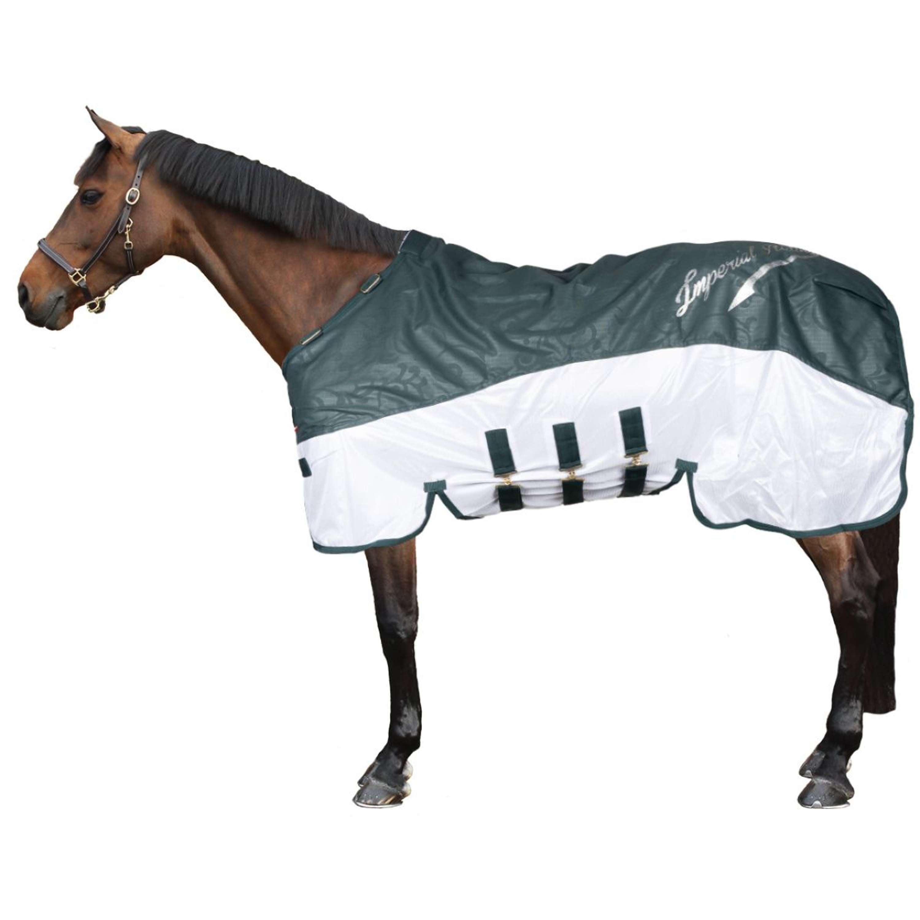 Imperial Riding IRHSuper-Dry Couverture d'extérieur 200 g, Vert forêt, 165 Imperial Riding IRHSuper-Dry Couverture d'extérieur 200 g, Vert forêt, 165
