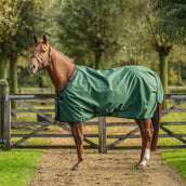Agradi by Bucas Turnout Rug 0g Groen/Zwart Agradi by Bucas Turnout Rug 0g Groen/Zwart
