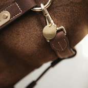 Kentucky Naamplaatje Goud Kentucky Naamplaatje Goud