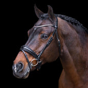 Imperial Riding Hoofdstel IRHOlympia Zwart/Rosegold Imperial Riding Hoofdstel IRHOlympia Zwart/Rosegold