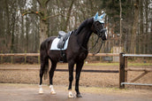 HB Showtime Zadeldekje Spring Dressuur Lichtblauw HB Showtime Zadeldekje Spring Dressuur Lichtblauw