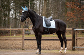 HB Showtime Zadeldekje Spring Dressuur Lichtblauw HB Showtime Zadeldekje Spring Dressuur Lichtblauw