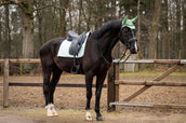 HB Showtime Zadeldekje Spring Dressuur Mintgroen HB Showtime Zadeldekje Spring Dressuur Mintgroen