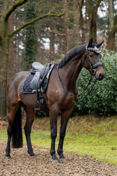 HB Showtime Zadeldekje Rio Dressuur Zwart HB Showtime Zadeldekje Rio Dressuur Zwart