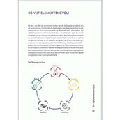 Paardentypen Paardentypen