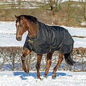 Bucas Irish Turnout Extra High Neck 300g Black/Gold Bucas Irish Turnout Extra High Neck 300g Black/Gold