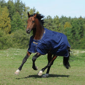 Bucas Irish Turnout 150g Navy/Gold Bucas Irish Turnout 150g Navy/Gold