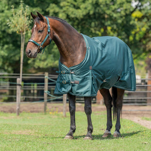 Agradi Horse Outdoordeken 1200D 0gr Reflecterende Bies Groen Agradi Horse Outdoordeken 1200D 0gr Reflecterende Bies Groen