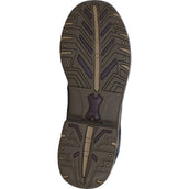 Ariat Stalschoenen Telluride II H2O Donkerbruin Ariat Stalschoenen Telluride II H2O Donkerbruin