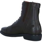 BR Jodhpurs CL Noblesse Lace Dames Coffee Brown BR Jodhpurs CL Noblesse Lace Dames Coffee Brown