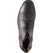 BR Jodhpurs CL Noblesse Lace Dames Coffee Brown BR Jodhpurs CL Noblesse Lace Dames Coffee Brown