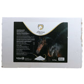 Excellent Horse Liksteen Natural Excellent Horse Liksteen Natural