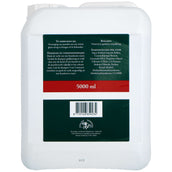 Grand National Equipe Shampoo Grand National Equipe Shampoo