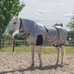 Harry's Horse Eczeem/Vliegendeken UV