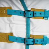 Tempest Plus by Shires Eczeemdeken Sweet-Itch Combo Wit Tempest Plus by Shires Eczeemdeken Sweet-Itch Combo Wit