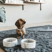 Kentucky Hondenhalsband Wol Beige Kentucky Hondenhalsband Wol Beige