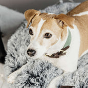 Kentucky Halsband Jacquard Olijfgroen Kentucky Halsband Jacquard Olijfgroen