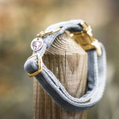 Kentucky Halsband Velvet Light Blue Kentucky Halsband Velvet Light Blue