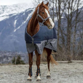 EQUITHÈME Regendeken Tyrex 600D 50g Navy/Grijs Dots EQUITHÈME Regendeken Tyrex 600D 50g Navy/Grijs Dots