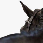 PS of Sweden Hoofdstel Helsinki Bruin PS of Sweden Hoofdstel Helsinki Bruin