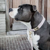 Kentucky Hondenriem Velvet Soft Rose Kentucky Hondenriem Velvet Soft Rose