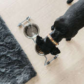 Kentucky Halsband Handgemaakte Parels Pure Orange Kentucky Halsband Handgemaakte Parels Pure Orange