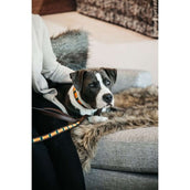 Kentucky Halsband Handgemaakte Parels Pure Orange Kentucky Halsband Handgemaakte Parels Pure Orange