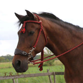 F.R.A. Bithoofdstel Bodanza Katoen met Afneembare Teugels Rood/Groen F.R.A. Bithoofdstel Bodanza Katoen met Afneembare Teugels Rood/Groen