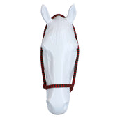 F.R.A. Leidhalster Shiraz met Vaste Lijn Groen/Rood F.R.A. Leidhalster Shiraz met Vaste Lijn Groen/Rood