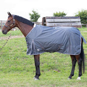 Harry's Horse Outdoordeken Thor 100g Ebony Harry's Horse Outdoordeken Thor 100g Ebony